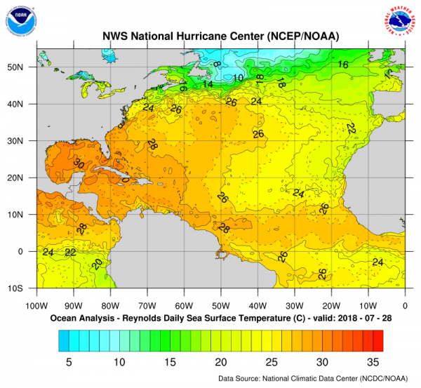 Tropical Activity Looking Ahead August September