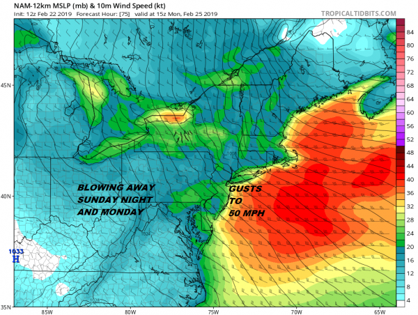 March Lion Roars Early Strong Winds Sunday Night Monday Gusts to 50 MPH