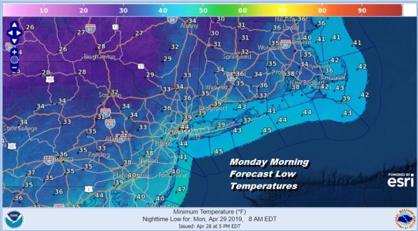 Monday Morning Forecast Low Temperatures