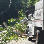 20150804_102848[1]