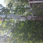 20150804_102915[1]