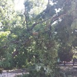 20150804_103606[1]