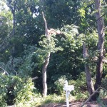 20150804_103650[1]