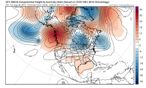 gfs324