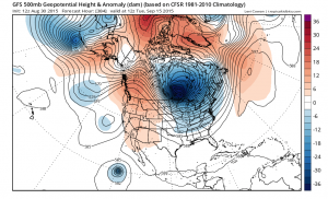 gfs384