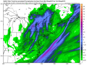 namprecip