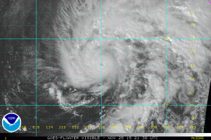 sandra