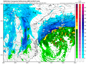 nam45 NAM RGEM Video Analysis