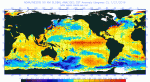 elnino15 La Nina Developing El Nino Weakens