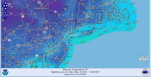 monday Cold May Day Cold May Night
