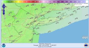 rainfall Rain Overnight Not Impressive