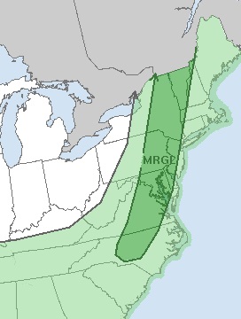 Dry Monday Thunderstorms Tuesday