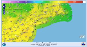 hermine moving