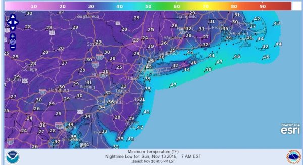 freeze watch