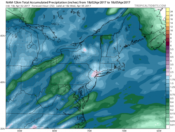 rain nam model