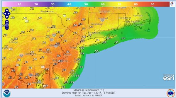 palm sunday passover spring weather
