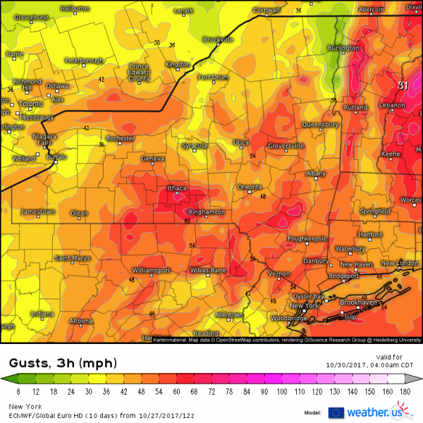 european model