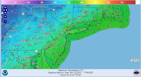 warm turkey
