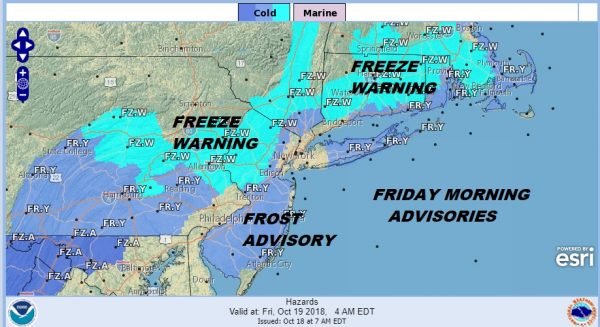 frost freezes
