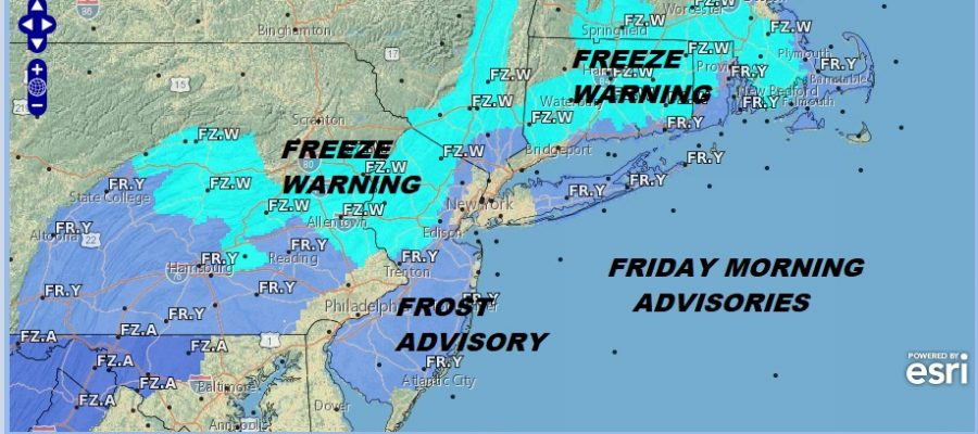frost freezes