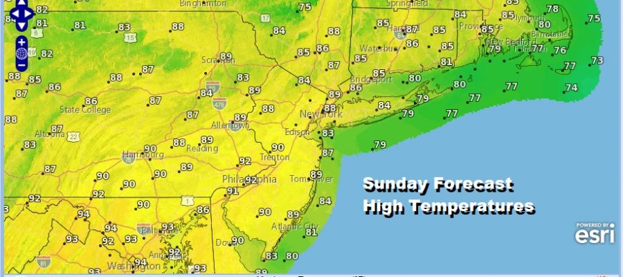 August Dog Days Rolling Along High Humidity Heat Arrives Sunday